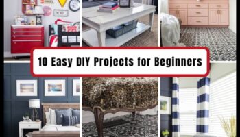 עיצוב הבית עשה זאת בעצמך: רעיונות קלים ובמחיר סביר לנסות