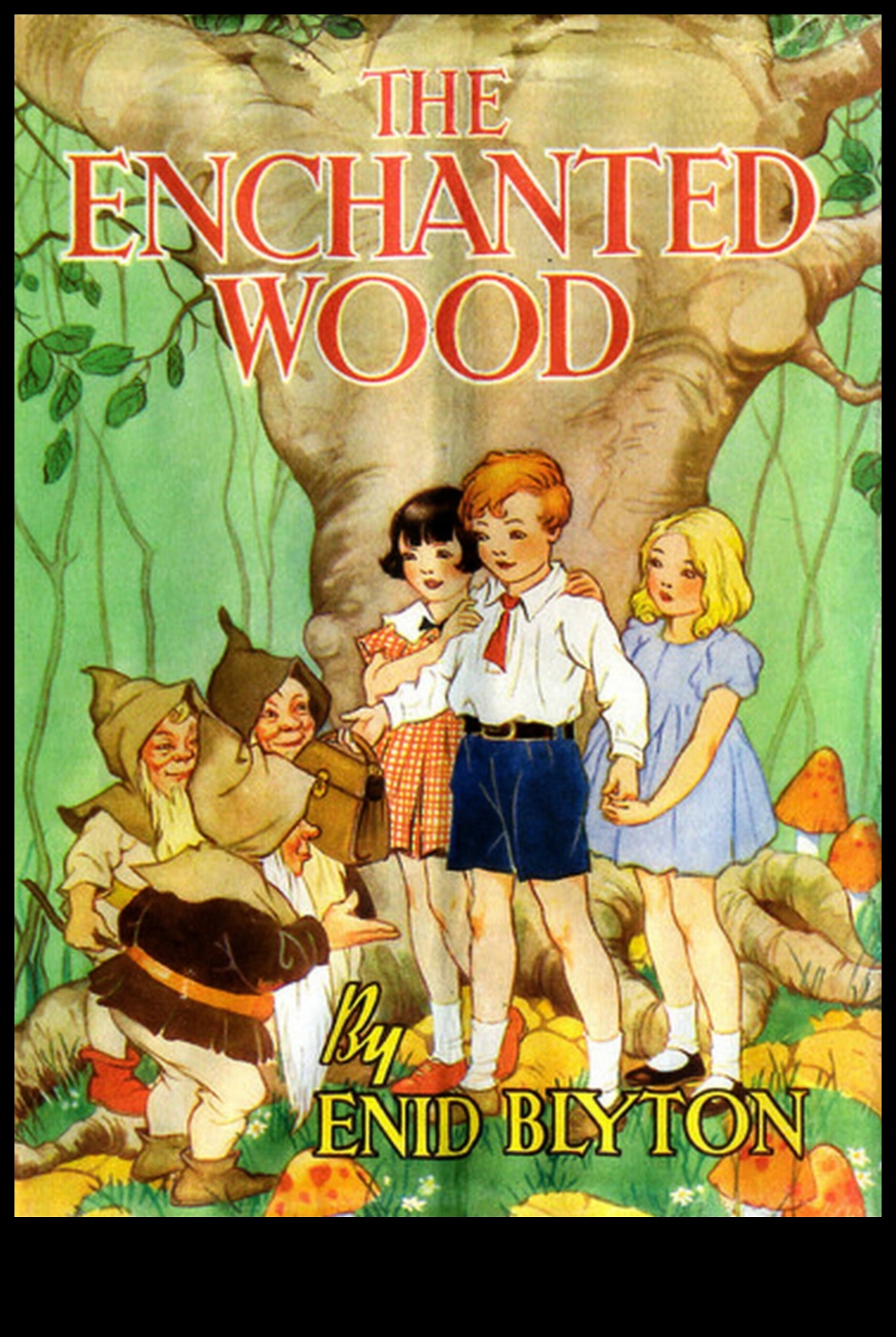 יערות קסומים: סצנות קסומות ביערות