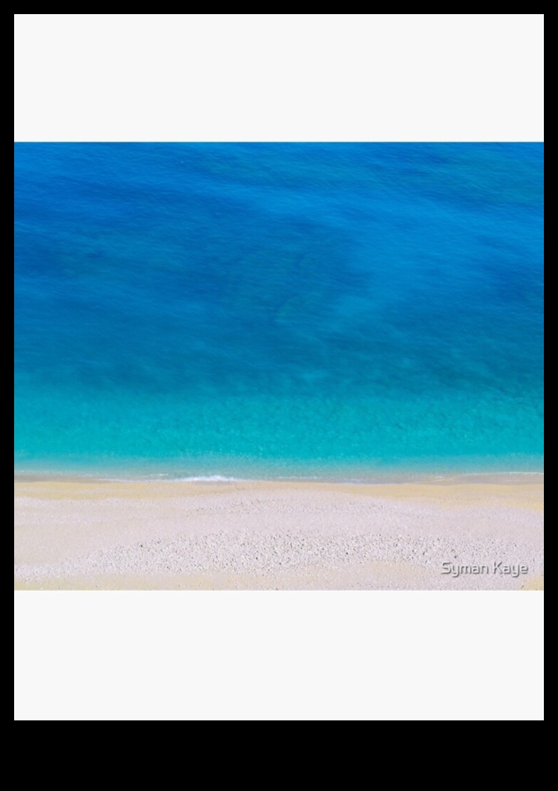 נופי חוף וחוף הים: היכן שכדור הארץ פוגש ים