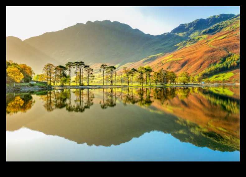 שלווה ליד האגם: חקר נופי אגם שלווים