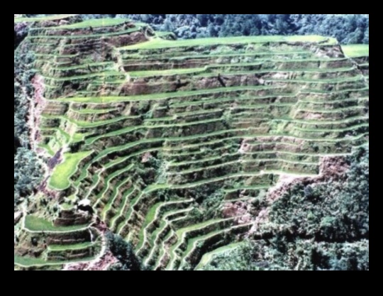 מהי השפעת התיירות על נופים שבירים?