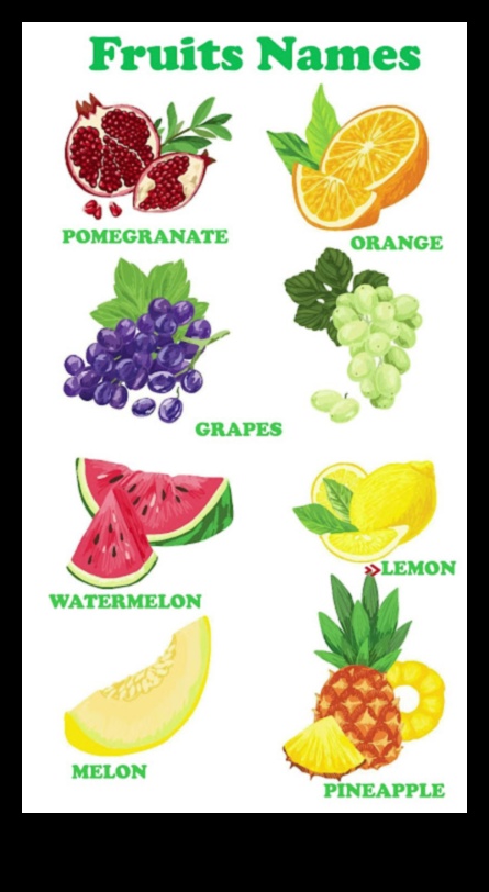 ברי בוננזה: מסע בעולם המתוק והעסיסי של פירות יער טריים