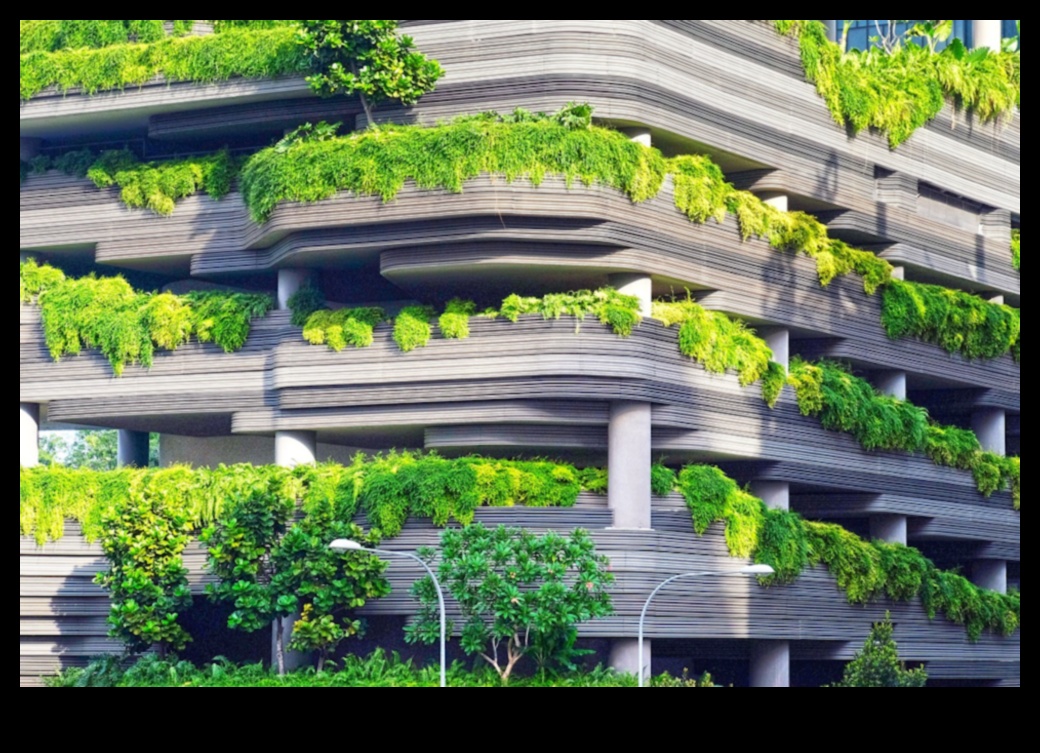 יופי ידידותי לסביבה: מגמות עיצוב נוף בר קיימא