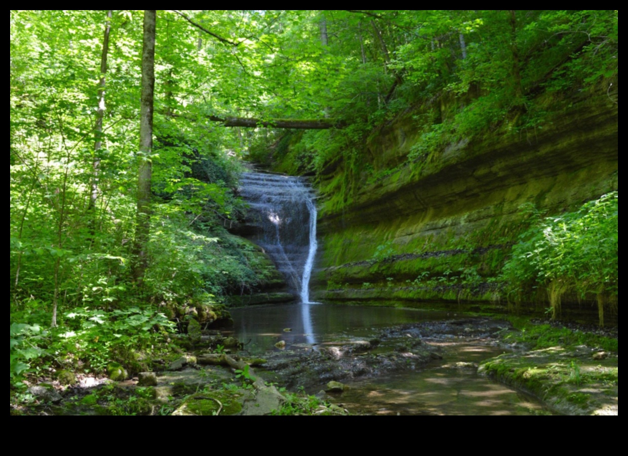 מקלט בטבע: שמורות אקולוגיות נחקרו