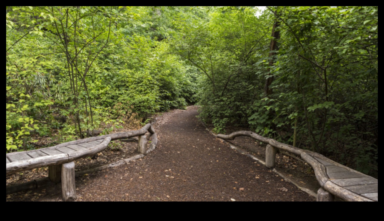 מקלט בטבע: שמורות אקולוגיות נחקרו