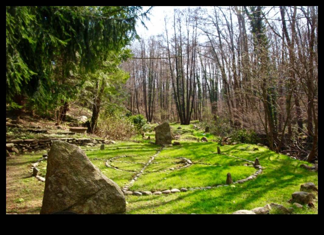 מקלט בטבע: שמורות אקולוגיות נחקרו