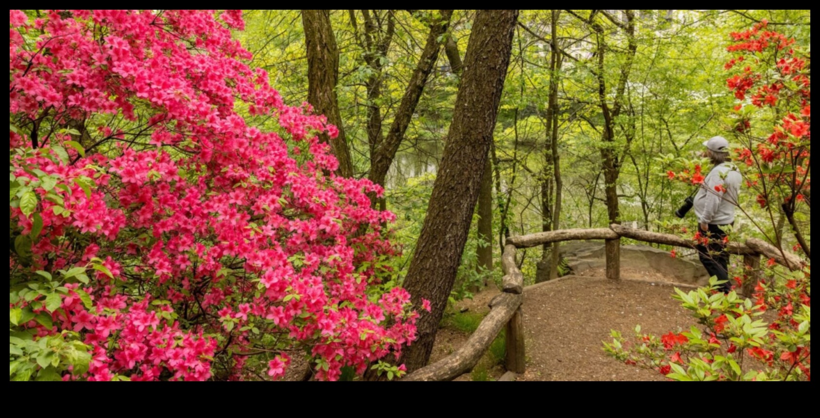 מקלט בטבע: שמורות אקולוגיות נחקרו