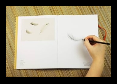 שירה דוממת: ספר סקיצות של טבע דומם