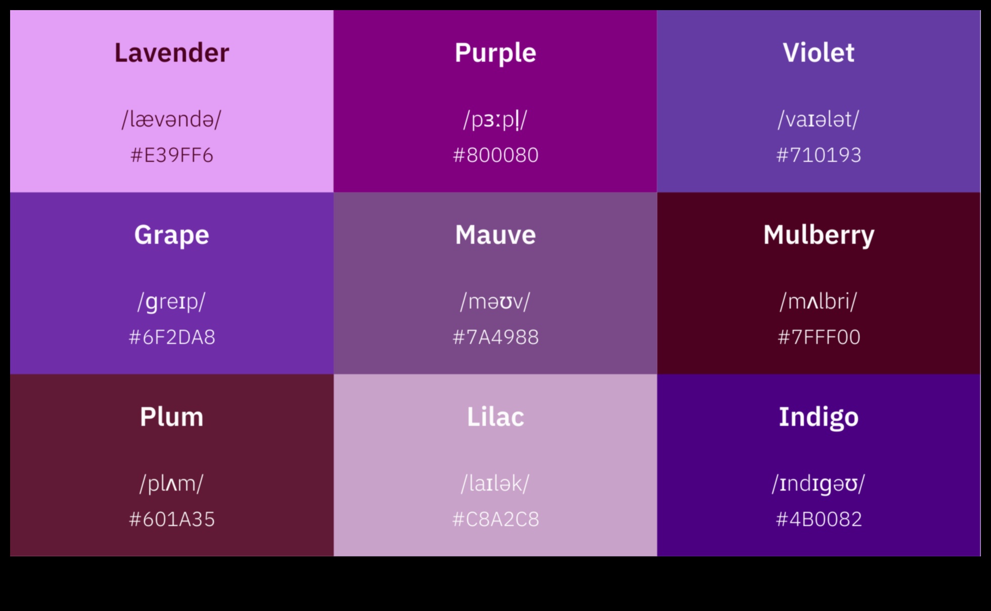גוונים רבים של צבע 5 שחרור כוחם של צבעים: קונספטים לקישוט לעיצוב תוססת
