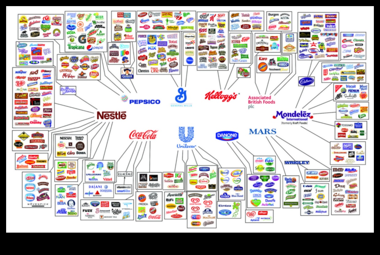 חלוצי מוצר כיצד הם מעצבים את עתיד העיצוב במוצרי צריכה 2 חלוצי מוצר: מעצבים את עתיד העיצוב במוצרי צריכה