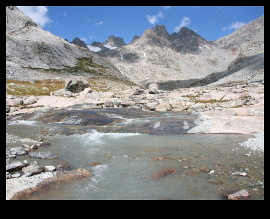 כיצד שינויי אקלים והתחממות כדור הארץ משפיעים על הנופים?
