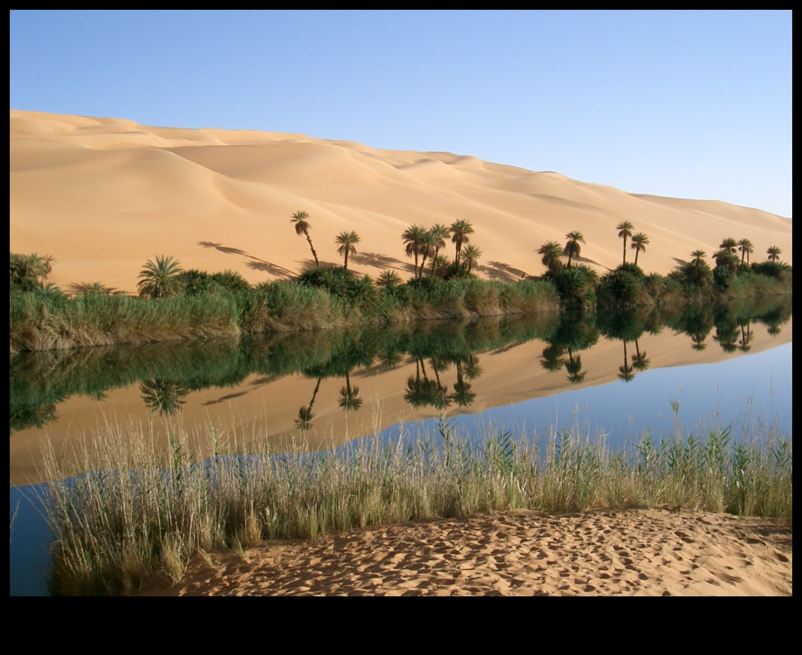 דקור אואזיס מדברי לבית שקט