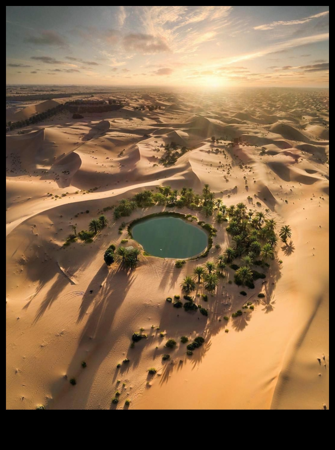 דקור אואזיס מדברי לבית שקט