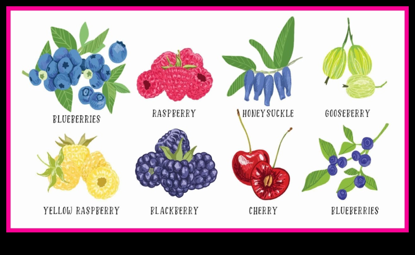 ברי בוננזה: מסע בעולם המתוק והעסיסי של פירות יער טריים