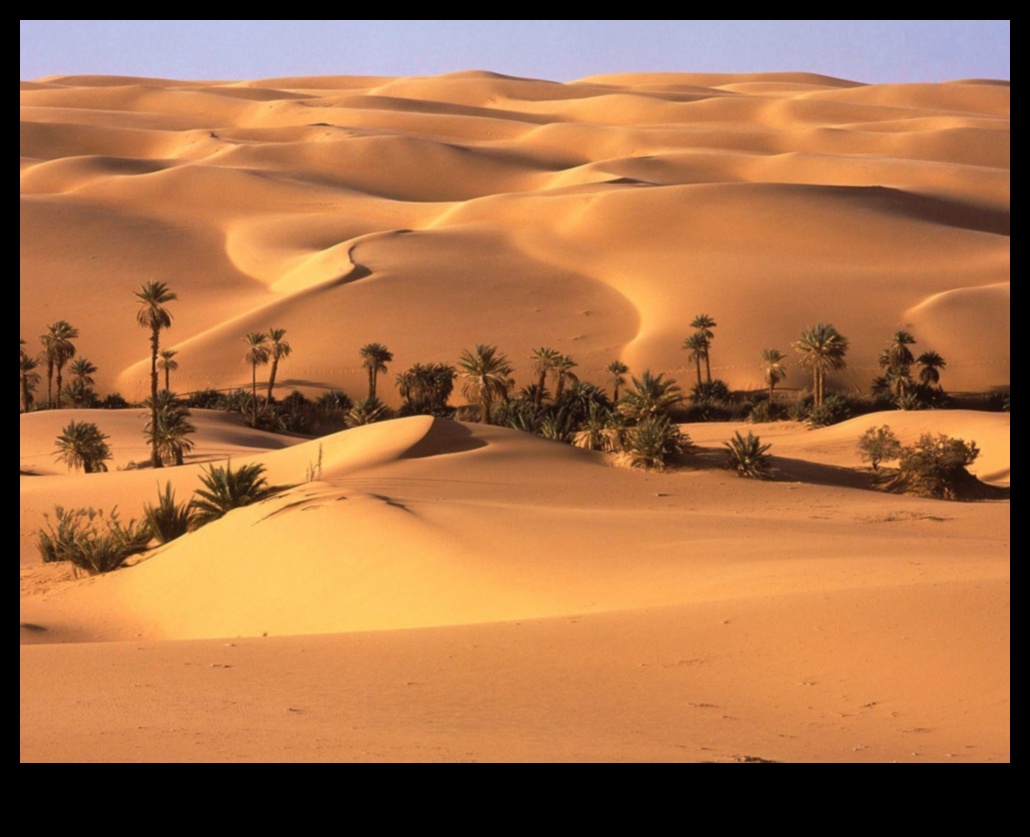 דקור אואזיס מדברי לבית שקט