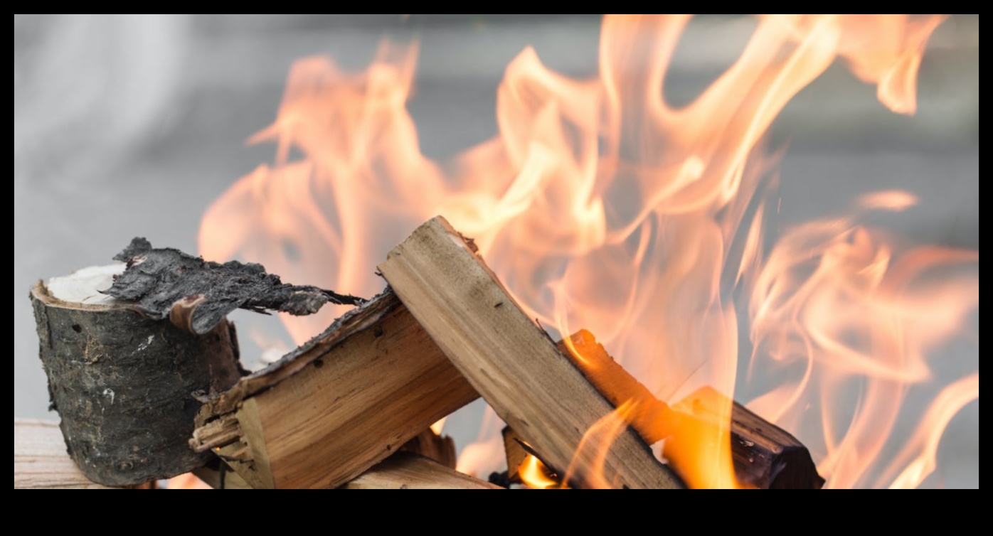 אמנות שריפת העצים: יצירה עם טכניקות פירוגרפיה