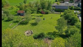 פרדסים בכל עונה: הקסם של נופים פוריים