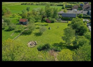 פרדסים בכל עונה: הקסם של נופים פוריים