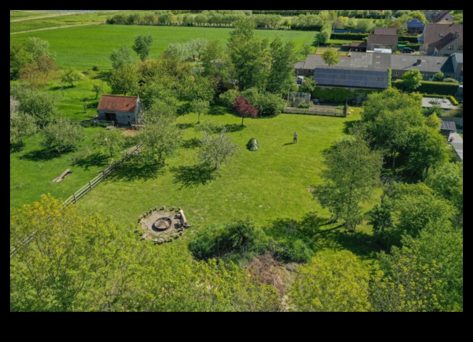 הפרדס מקום של שלום ושלווה 5 פרדסים בכל עונה: הקסם של נופים פוריים