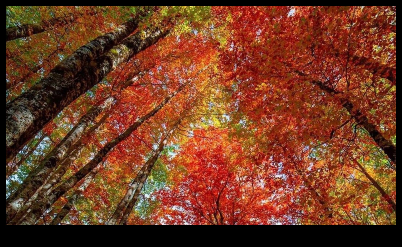 שוויון סתיו: נופי הסתיו בשיווי משקל