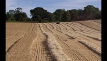 Hamlet Havens II: מראות מקסימים של כפרים ועיירות ברחבי העולם