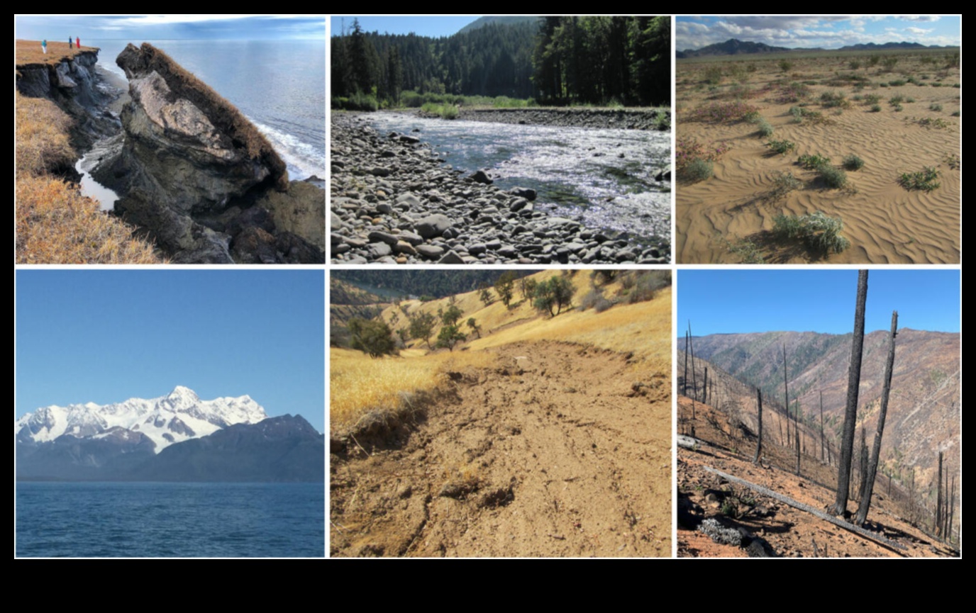 כיצד שינויי אקלים והתחממות כדור הארץ משפיעים על הנופים?