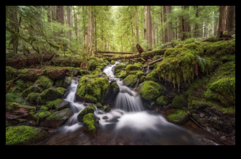 מסע אל השלווה: נופי נוף עוצרי נשימה