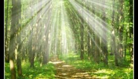 מקלט בטבע: שמורות אקולוגיות נחקרו