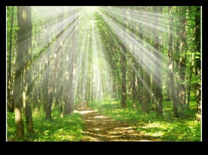 מקלט בטבע: שמורות אקולוגיות נחקרו