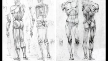 רגעי מודל: יצירת ריאליזם באמצעות ציור איור