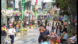 Streets Alive: Urban Dynamics in Streetscapes
