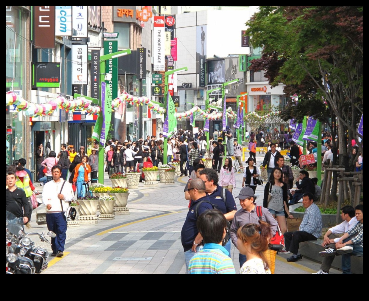 Streets Alive: Urban Dynamics in Streetscapes
