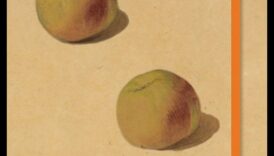 יצירת שיר דוממת ספר אלקטרוני סקיצות של טבע דומם 5 שירה דוממת: ספר סקיצות של טבע דומם