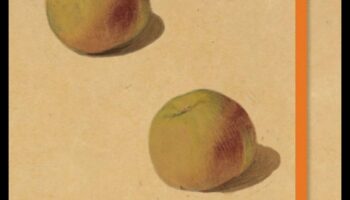 שירה דוממת: ספר סקיצות של טבע דומם