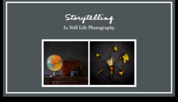 שפת החפצים: נרטיבים של טבע דומם