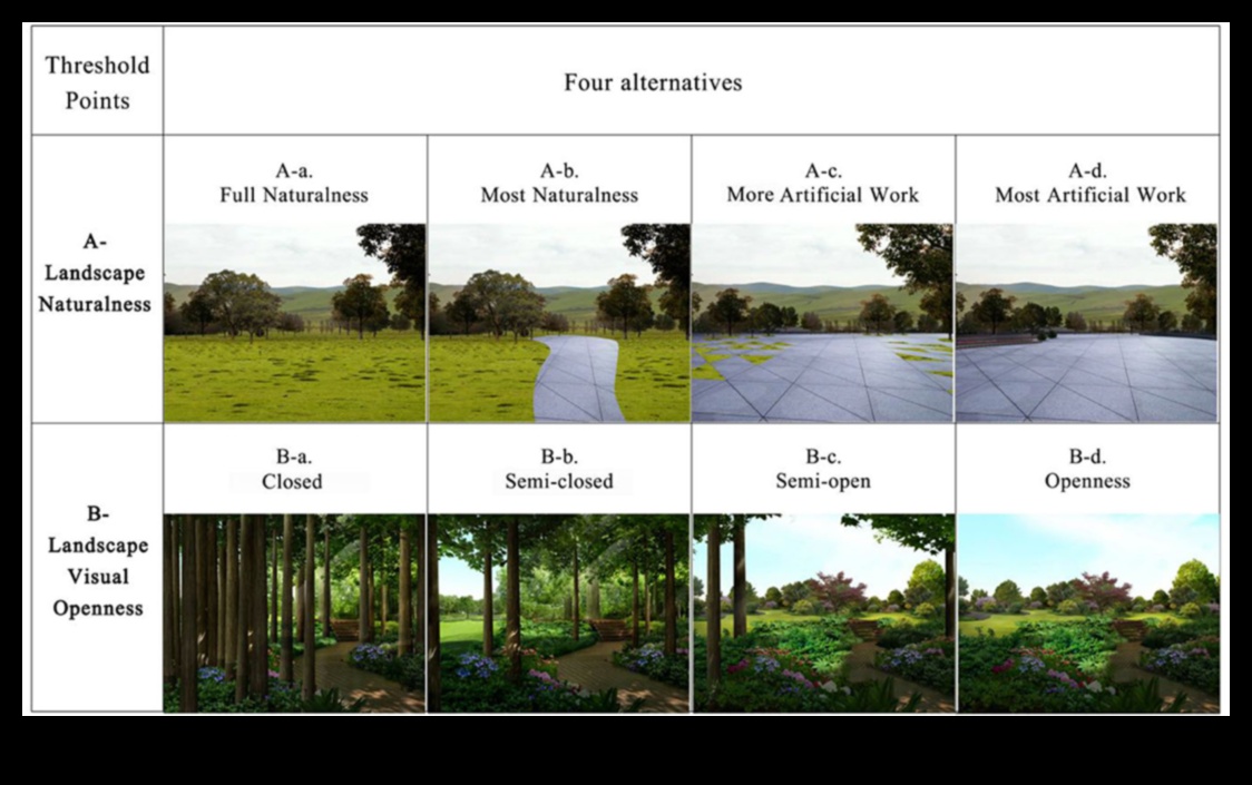 כיצד השפיעה הטכנולוגיה על הדרך בה אנו תופסים נופים?